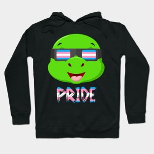 Turtle Transgender Flag Lgbt Hoodie